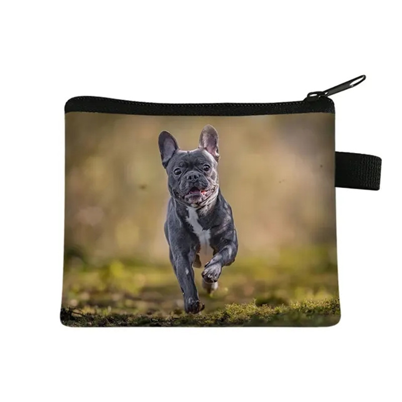 Bonito floral bulldog impressã - Men Fashion Kids avaliação e preço