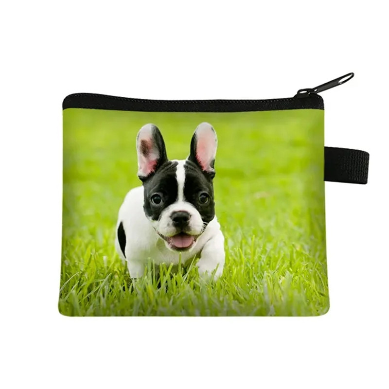 Bonito floral bulldog impressã - Men Fashion Kids avaliação e preço