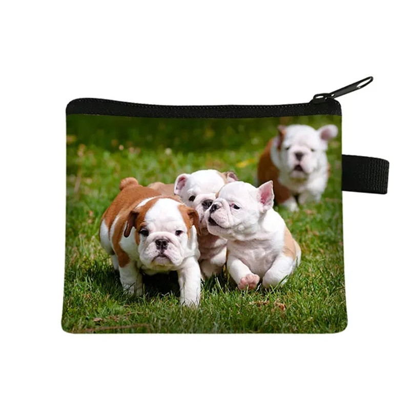 Bonito floral bulldog impressã - Men Fashion Kids avaliação e preço